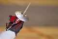 wp1e1243a9_0f.jpg