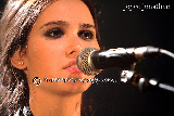 wp778b3a86_0f.jpg