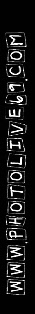 wp7c7b3121_0f.jpg