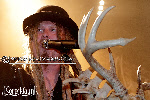 wp8397074b_0f.jpg